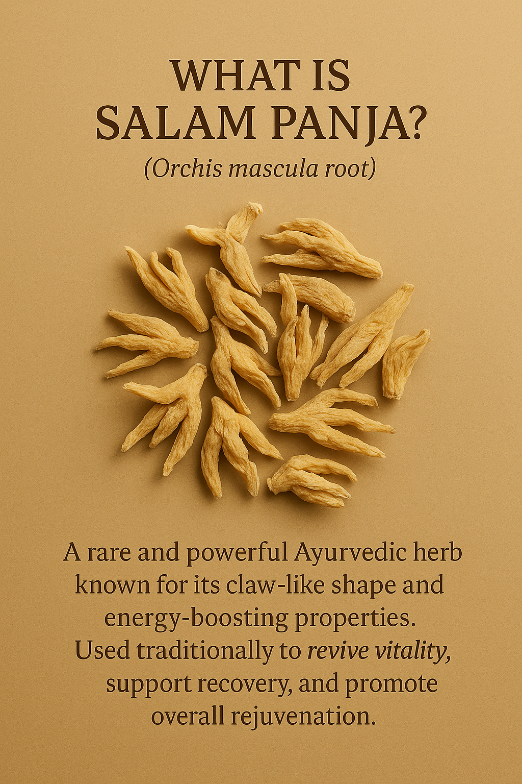 Salam Panja (सालम पंजा) – Rare Himalayan Herb for Vitality & Strength (10g)