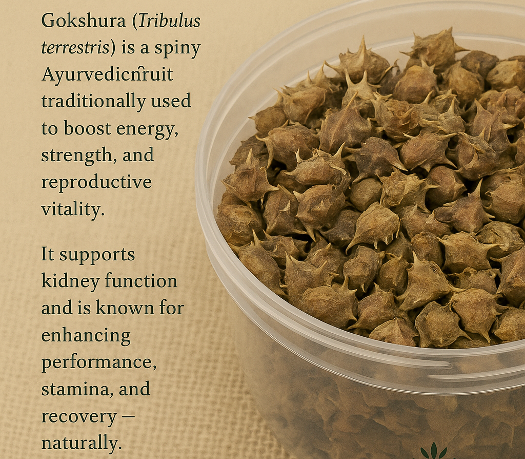 Gokshura – Ayurvedic Herb for Strength, Stamina & Kidney Health (50g)