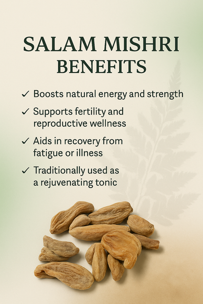 Salam Mishri – Ayurvedic Root for Strength & Rejuvenation (10g)