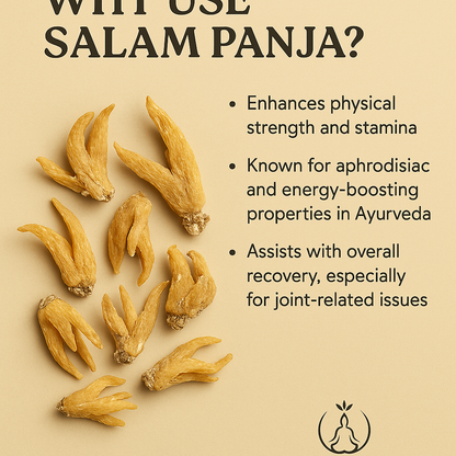 Salam Panja (सालम पंजा) – Rare Himalayan Herb for Vitality & Strength (10g)