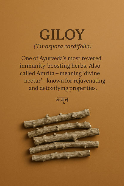 Giloy Stem – Ayurvedic Herb for Immunity, Fever & Detox (100g)
