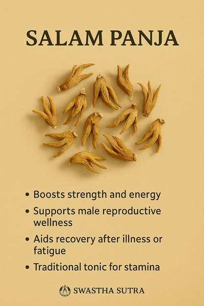 Salam Panja (सालम पंजा) – Rare Himalayan Herb for Vitality & Strength (10g)