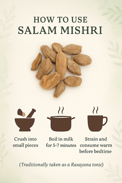 Salam Mishri – Ayurvedic Root for Strength & Rejuvenation (10g)