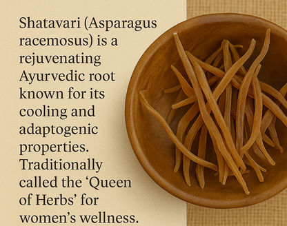 Shatavari Yellow – Ayurvedic Root for Hormonal Balance & Reproductive Health (100g)