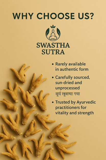 Salam Panja (सालम पंजा) – Rare Himalayan Herb for Vitality & Strength (10g)