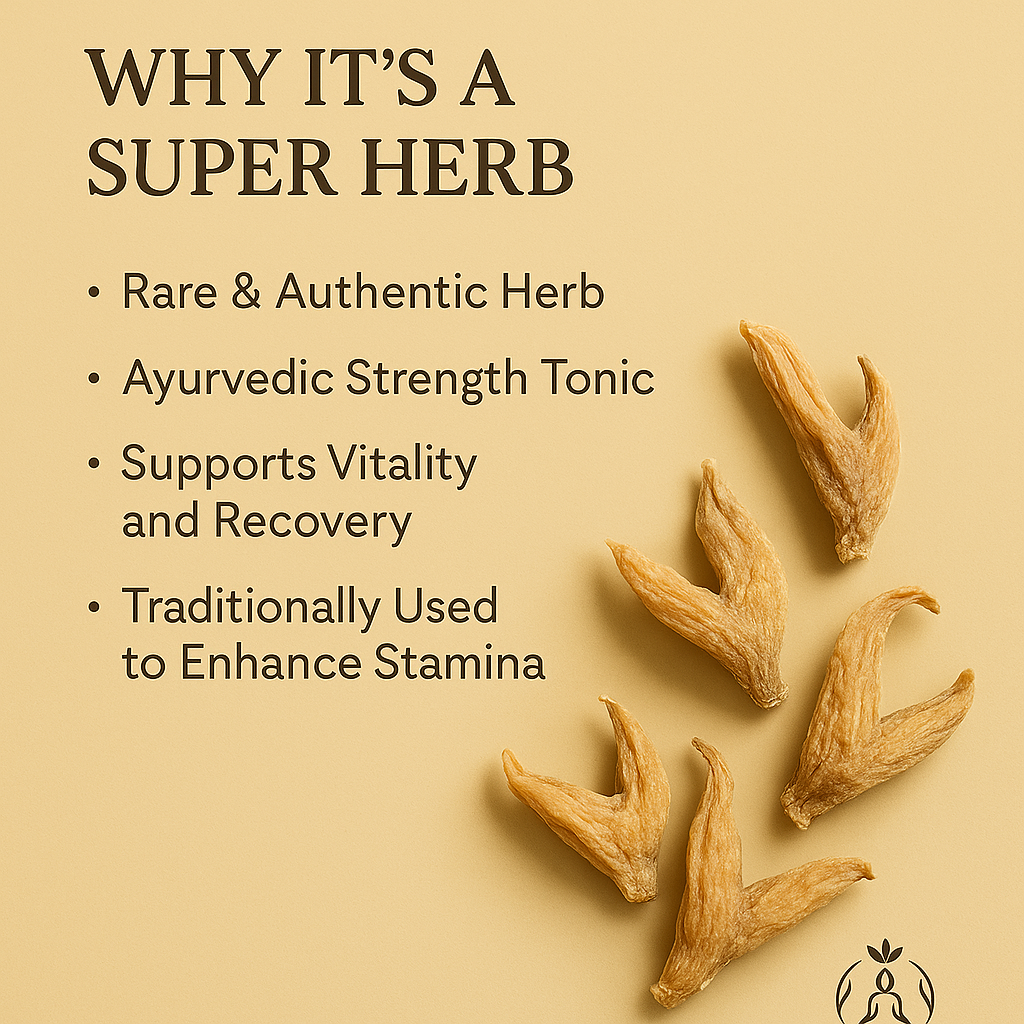 Salam Panja (सालम पंजा) – Rare Himalayan Herb for Vitality & Strength (10g)