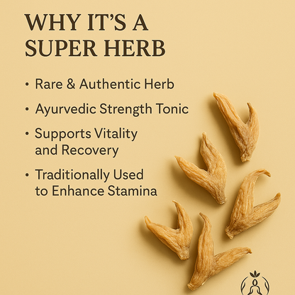 Salam Panja (सालम पंजा) – Rare Himalayan Herb for Vitality & Strength (10g)