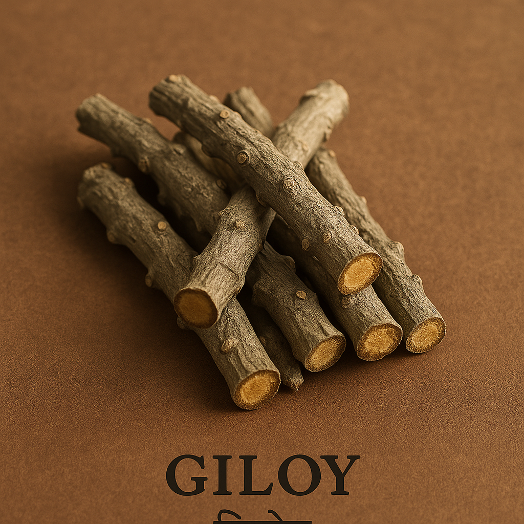 Giloy Stem – Ayurvedic Herb for Immunity, Fever & Detox (100g)