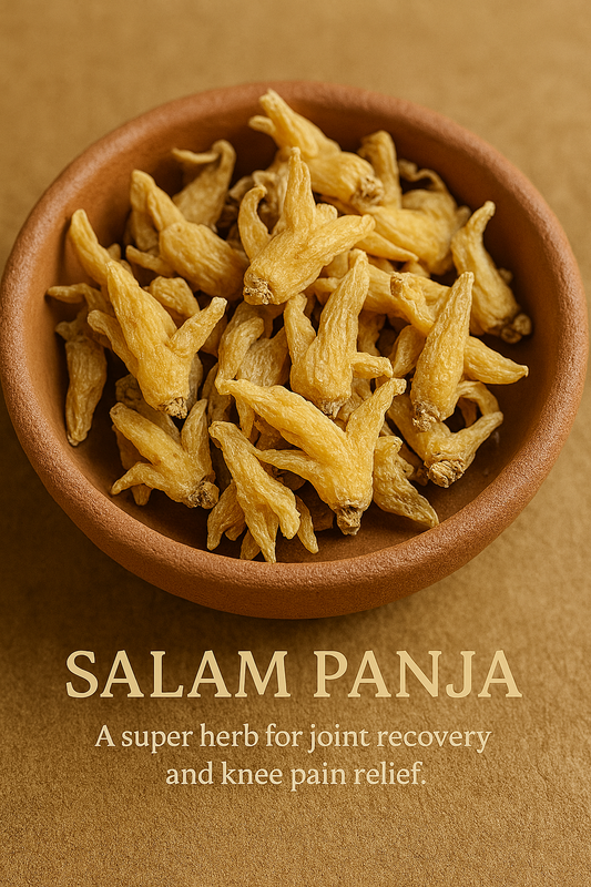 Salam Panja (सालम पंजा) – Rare Himalayan Herb for Vitality & Strength (10g)