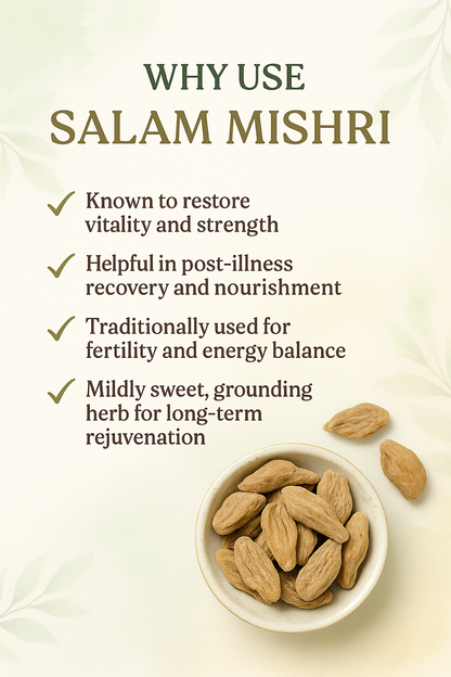Salam Mishri – Ayurvedic Root for Strength & Rejuvenation (10g)