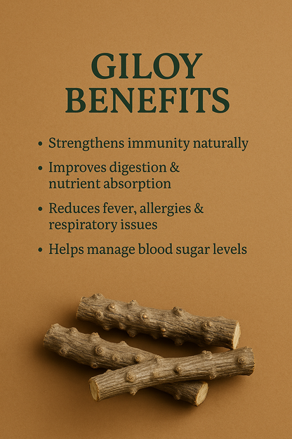 Giloy Stem – Ayurvedic Herb for Immunity, Fever & Detox (100g)