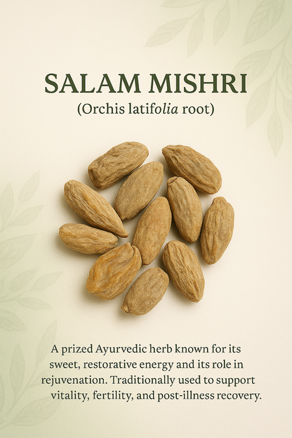Salam Mishri – Ayurvedic Root for Strength & Rejuvenation (10g)