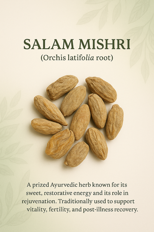 Salam Mishri – Ayurvedic Root for Strength & Rejuvenation (10g)