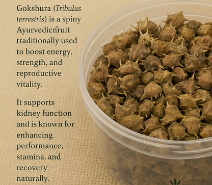Gokshura – Ayurvedic Herb for Strength, Stamina & Kidney Health (50g)