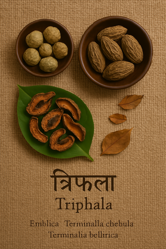 Triphala (त्रिफला) – Raw Ayurvedic Digestive Cleanser (100g)